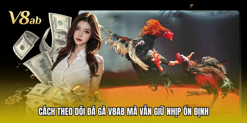 Cách theo dõi đá gà V8AB mà vẫn giữ nhịp ổn định 