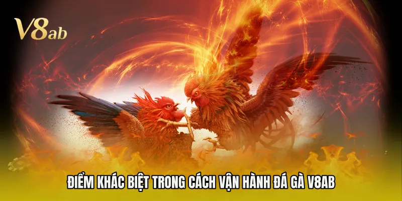 Điểm khác biệt trong cách vận hành đá gà V8AB 