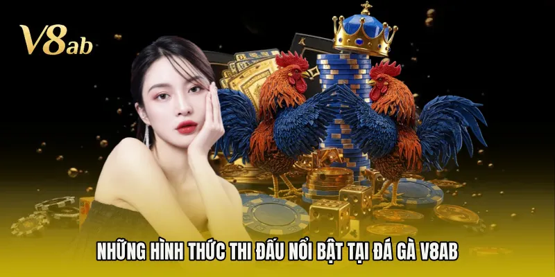 Những hình thức thi đấu nổi bật tại đá gà V8AB 
